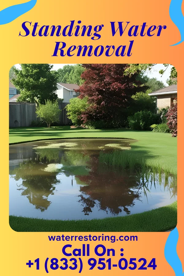 Standing Water Removal in Hardinsburg, IN